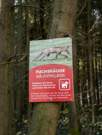 Foto de Señal de advertencia alemana para perro con sarna demodéstica generalizada, alopecia generalizada de Fox in the Forest. - Imagen libre de derechos
