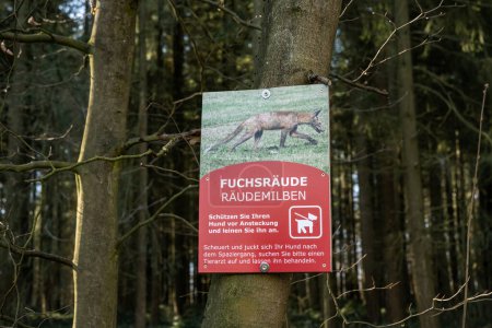 Téléchargez les photos : Signe d'avertissement allemand pour chien à gale démodectique généralisée, alopécie généralisée de Fox in the Forest. - en image libre de droit