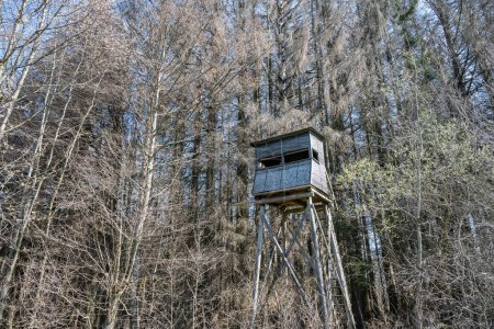 Téléchargez les photos : Un siège de chasseurs dans les bois entourés d'arbres en hiver. Vu dans une forêt allemande. - en image libre de droit