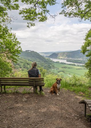 Photo for Tourist girl sitting on a bench with a puppy boxer dog looking at the rhine river valley near Andernach from viewpoint. - Royalty Free Image