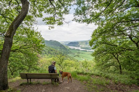 Tourist girl sitting on a bench with a puppy boxer dog looking at the rhine river valley near Andernach from viewpoint.