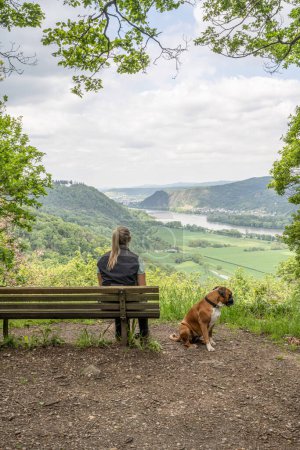Chica turística sentada en un banco con un perro boxeador cachorro mirando el valle del río Rin cerca de Andernach desde el mirador.