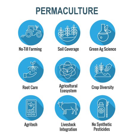 Conjunto de iconos de agricultura sostenible con maximización de la cobertura del suelo e integración de ejemplos ganaderos para el conjunto de iconos de agricultura regenerativa