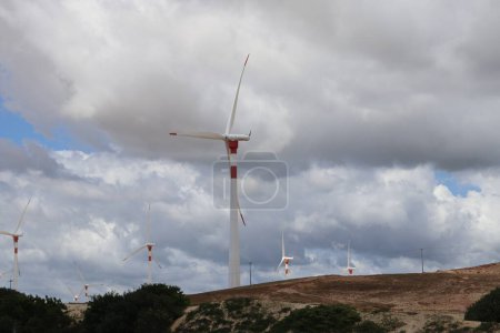 Photo for Wind power towers ceara brazil - Royalty Free Image