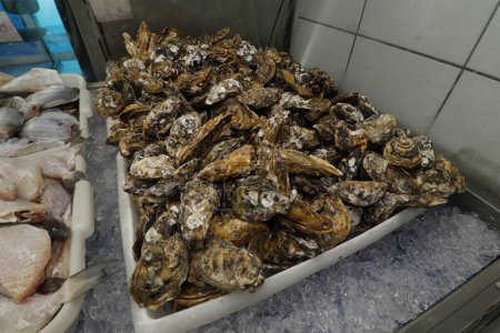 Téléchargez les photos : Huîtres fraîches Fruits de mer pêchés - en image libre de droit