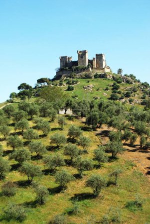 Téléchargez les photos : Vue du château au sommet de la colline, Almodovar del Rio, près de Cordoue, Province de Cordoue, Andalousie, Espagne, Europe
. - en image libre de droit