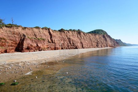 View of the beach and cliffs at Pennington Point, Sidmouth, Devon, UK, Europe,