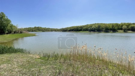 landscape on the shore of the river with green grass and blue sky.Landscape with lake and forest on the background of blue sky.landscape of the lake in the forest on a sunny summer day.Lake with reeds on a background of blue sky and green trees.