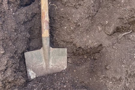 Shovel stuck in the soil, close-up, top view.Shovel in the soil. Gardening tools on the ground.