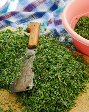 Téléchargez les photos : Hacher l'herbe de madimak avec des rangées, faire un délicieux repas de madimak, plante de madimak, - en image libre de droit