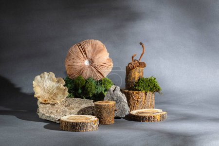 Stone podium, mushrooms and green moss on a gray background. Still life for the presentation of products and natural cosmetics. Copy space, natural style. 