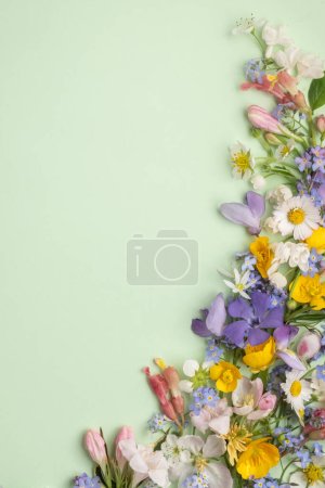 Téléchargez les photos : Composition d'angle disposition florale de différentes fleurs sauvages sur un fond vert clair. Modèle pour la publicité et la présentation de produits cosmétiques. Vue du dessus et espace de copie - en image libre de droit