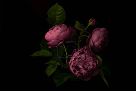 Moody flowers. bouquet of light plum roses on a black background. Blur and selective focus. Low key photo