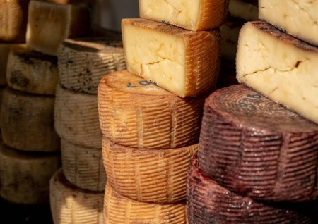 Roues de fromage artisanal sur le comptoir dans le contexte d'un large assortiment de fromages sur le marché alimentaire ukrainien. flou et mise au point sélective. 