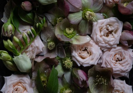 Floral background. Cream roses and hellebores flowers on a black background. Top view. Low key photo. Extreme flower close up.