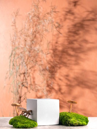 Holz-Dekor und natürlichen Stil. Kubisches Podium mit grünem Moos und Pilzen auf orangefarbenem Hintergrund. Stillleben zur Produktpräsentation. Kopierraum