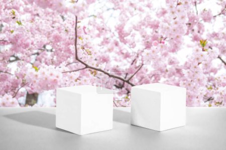Zwei weiße Betonkubik-Podeste vor dem Hintergrund blühender rosa Sakura-Mockup zur Demonstration kosmetischer Produkte.