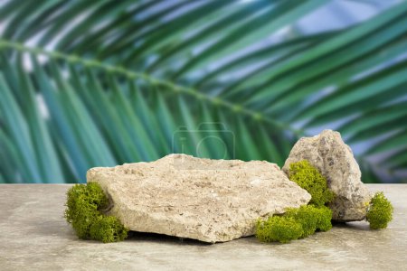 Podium texture stone for presentation of products and green leaves of palm plant. Blurred background