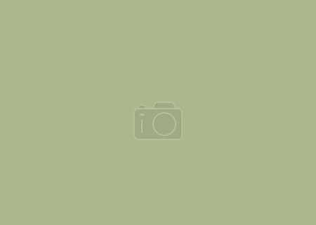 beautiful pastel soft green background. Copy space. 