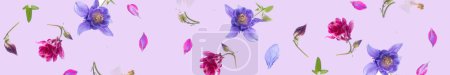 Long banner panoramic. Floating spring flowers aquilegia on a pastel pink background. Top view, flat lay. copy space. Aesthetic photo