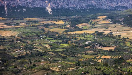 Photo for Farms and green fields with Mountain Landscape Background. Near Dorgali, Sardinia, Italy. - Royalty Free Image