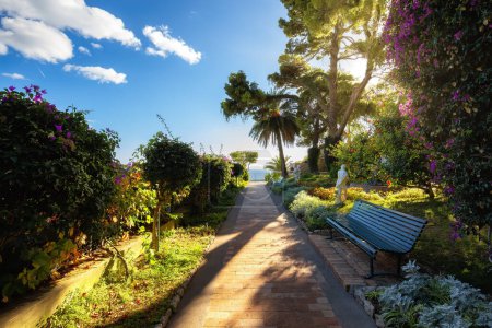 Téléchargez les photos : Chemin dans un jardin avec arbres et fleurs. Ville touristique sur l'île de Capri dans la baie de Naples, Italie. - en image libre de droit