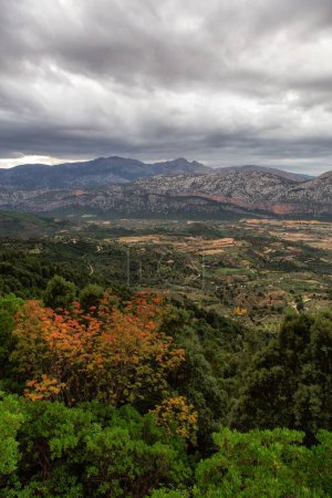 Foto de Granjas y campos verdes con fondo de paisaje de montaña. Cerca de Dorgali, Cerdeña, Italia. - Imagen libre de derechos