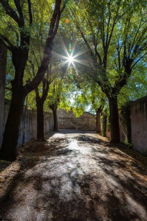 Foto de Camino en City Park. Ladrillo Antiguas murallas históricas. Roma, Italia. Día soleado. - Imagen libre de derechos