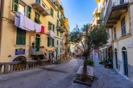 Foto de Riomaggiore, Italy. - November 30, 2022: Street, Restaurants and Colorful apartment homes in touristic town, Cinque Terre National Park - Imagen libre de derechos
