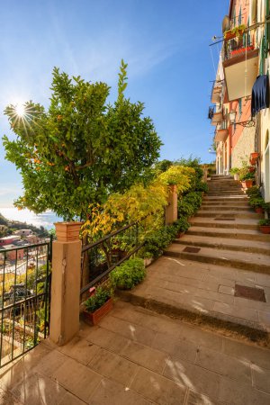 Photo for Colorful apartment homes and Lemon Tree in touristic town, Riomaggiore, Italy. Cinque Terre National Park - Royalty Free Image