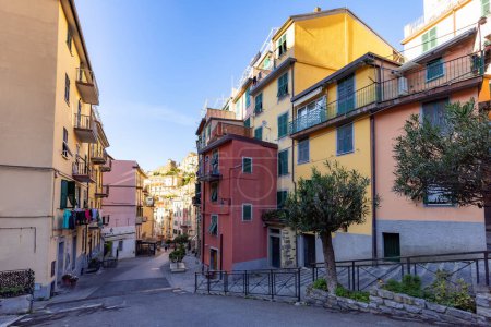 Téléchargez les photos : Colorful apartment homes in touristic town, Riomaggiore, Italy. Cinque Terre National Park - en image libre de droit