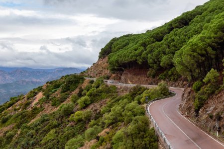 Photo for Scenic Highway, Orientale Sarda, in the mountain landscape. Cloudy Rainy Day. Sardinia, Italy. - Royalty Free Image