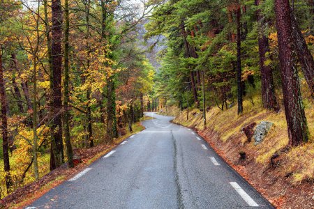 Téléchargez les photos : Scenic Road in the Mountain Forest. Fall Season. France, Europe. Adventure Travel - en image libre de droit