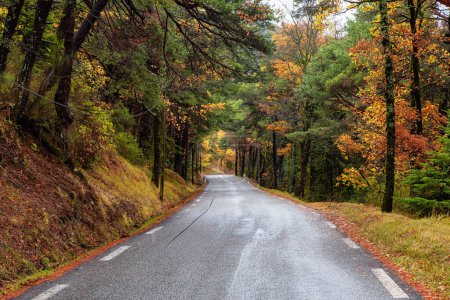 Téléchargez les photos : Scenic Road in the Mountain Forest. Fall Season. France, Europe. Adventure Travel - en image libre de droit