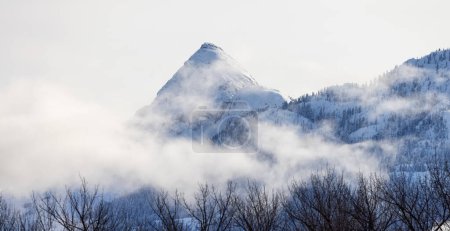 Foto de Snow and Cloud covered Canadian Nature Landscape Background. Winter Season in Squamish, British Columbia, Canada. Sunny Sky - Imagen libre de derechos