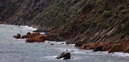 Photo for Rocky Coast by the Sea. Sardinia, Italy. Nature Background. - Royalty Free Image