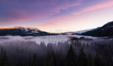 Téléchargez les photos : Green Trees in Forest with Fog and Mountains. Sunrise Sky Art Render. Canadian Nature Landscape Background. Near Squamish, British Columbia, Canada. Panorama - en image libre de droit