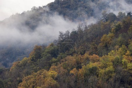 Photo for Colorful Trees on the Mountain during Fall Season. France, Europe. Nature Background. - Royalty Free Image
