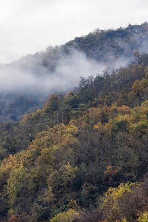 Foto de Colorful Trees on the Mountain during Fall Season. France, Europe. Nature Background. - Imagen libre de derechos