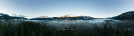 Téléchargez les photos : Green Trees in Forest with Fog and Mountains. Winter Sunny Sunrise. Canadian Nature Landscape Background. Near Squamish, British Columbia, Canada. Panorama - en image libre de droit