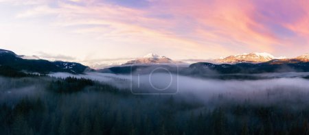 Téléchargez les photos : Arbres verts dans la forêt avec brouillard et montagnes. Sunrise Sky Art Render. Paysage naturel canadien Contexte. Près de Squamish, Colombie-Britannique, Canada. Panorama - en image libre de droit