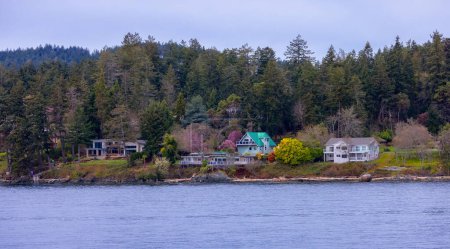 Téléchargez les photos : Maisons sur la côte de l'océan Pacifique. Nanaimo, Île de Vancouver, Colombie-Britannique, Canada. - en image libre de droit