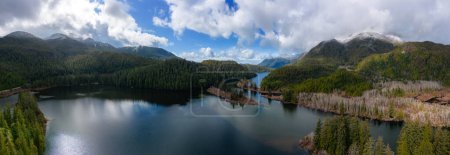 Téléchargez les photos : Vue panoramique aérienne du paysage montagneux et du lac du Canada. Pris dans l'île de Vancouver, Colombie-Britannique, Canada. Nature Contexte Panorama - en image libre de droit