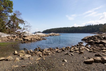 Photo for Rocky Shore on West Coast of Pacific Ocean in Nanoose Bay. Vancouver Island, British Columbia, Canada. Sunny Sky. Canadian Nature Background - Royalty Free Image
