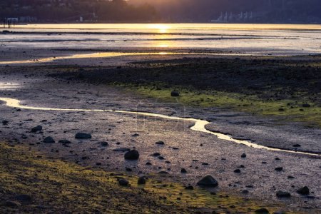 Téléchargez les photos : Scenic Shore dans City Park pendant le coucher du soleil. Saison de printemps ensoleillée. Port Moody, Vancouver, BC, Canada. - en image libre de droit