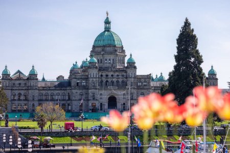 Téléchargez les photos : Assemblée législative de la Colombie-Britannique dans la capitale pendant une journée ensoleillée. Downtown Victoria, Vancouver Island, BC, Canada. Fleurs - en image libre de droit