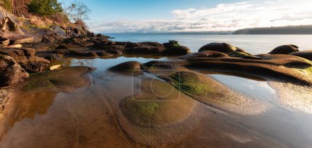 Photo for Rocky Shore on the Ocean Coast. Canadian Nature Background. Hornby Island, British Columbia, Canada. - Royalty Free Image