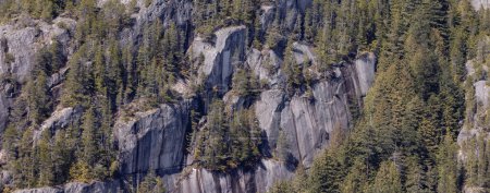 Photo for Rocky cliffs on Chief Mountain in Squamish, BC, Canada. Nature Background. Sunny day. - Royalty Free Image