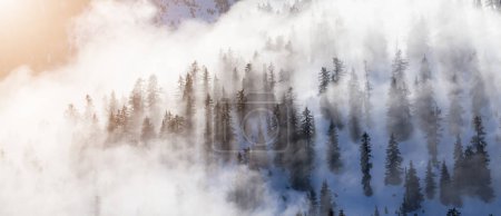 Téléchargez les photos : Arbres verts au sommet du paysage montagneux canadien couvert de nuages. Vue Aérienne près de Vancouver, BC, Canada. - en image libre de droit