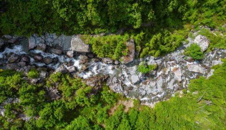 Photo for River running down the mountain by rocks and trees. Aerial Nature Background. British Columbia, Canada. - Royalty Free Image